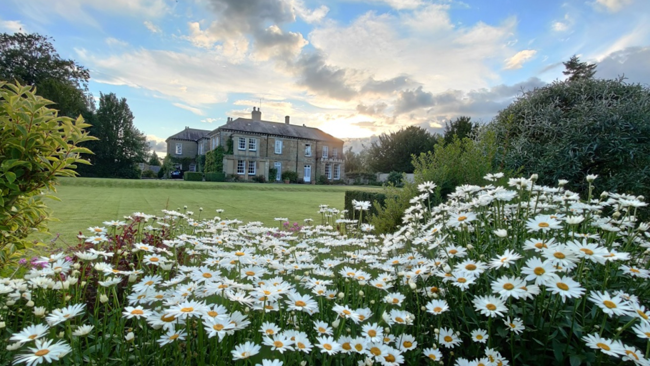 Sutton Hall seen across the lawns and summer daisy borders